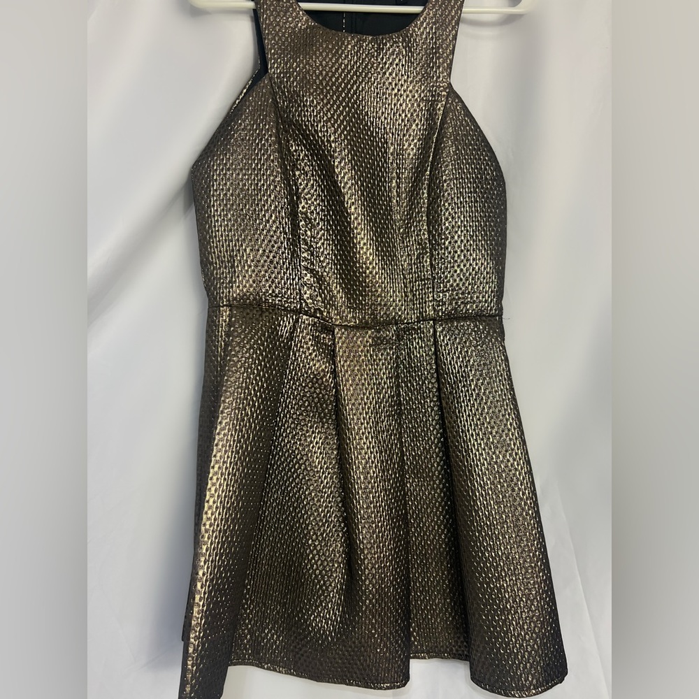 Woman's Fashion Union Gold, Bronze Metalic, Fit & Flare Dress